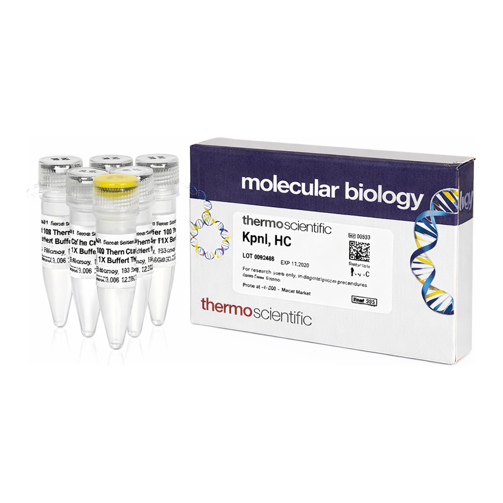 Thermo Fisher Scientific KpnI, HC (50 U/&mu;L)