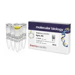 Thermo Fisher Scientific KpnI, HC (50 U/μL)