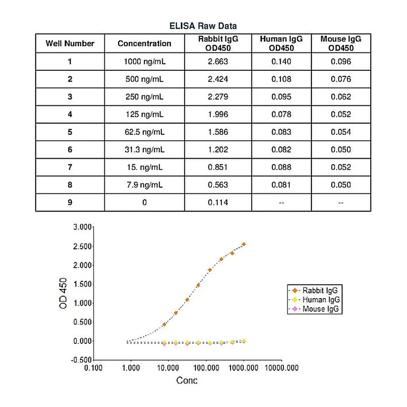 Thermo Fisher Scientific Chicken anti-Rabbit IgG (H+L) Cross-Adsorbed Secondary Antibody