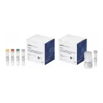 Thermo Fisher Scientific ViralSEQ Lentivirus Physical Titer Kit, 100 reactions