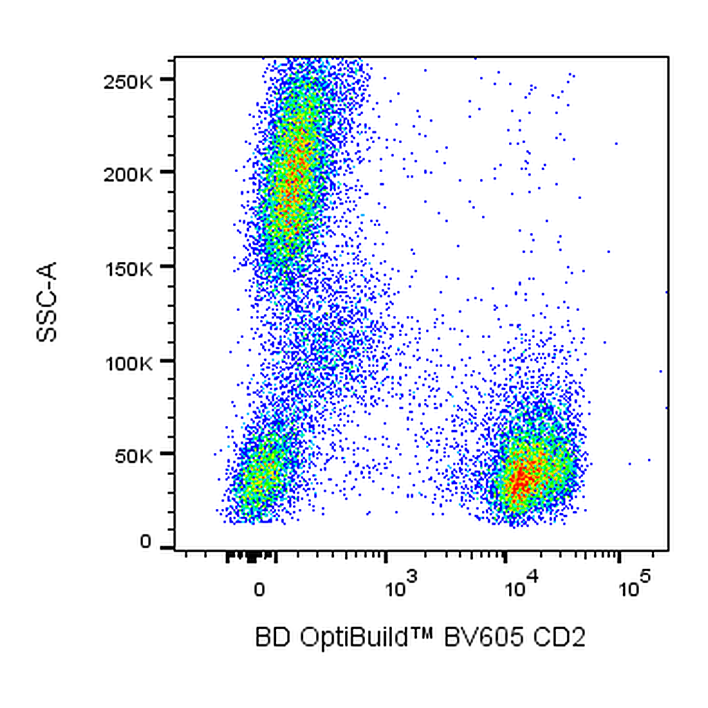 BD BV605 Mouse Anti-Human CD2