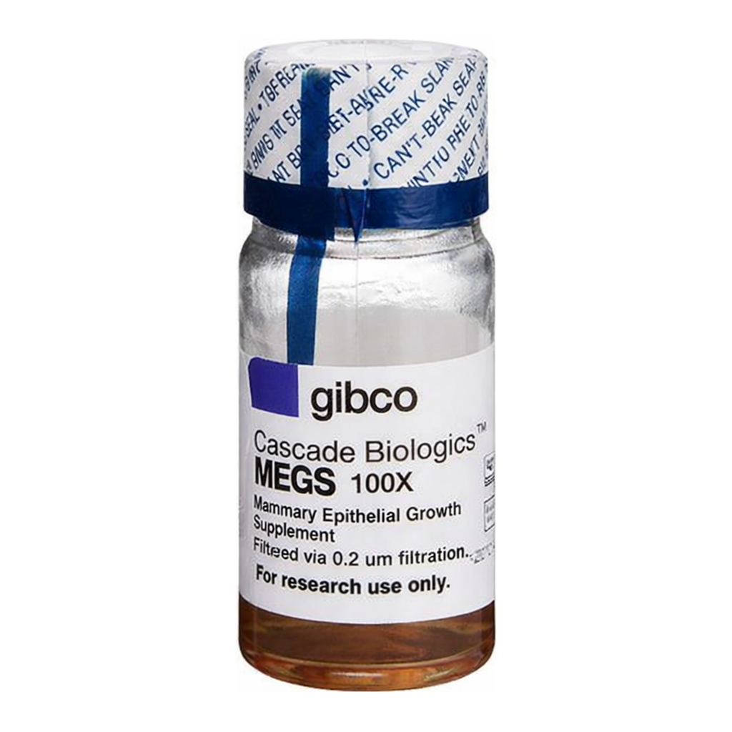 Thermo Fisher Scientific Mammary Epithelial Growth Supplement (MEGS)