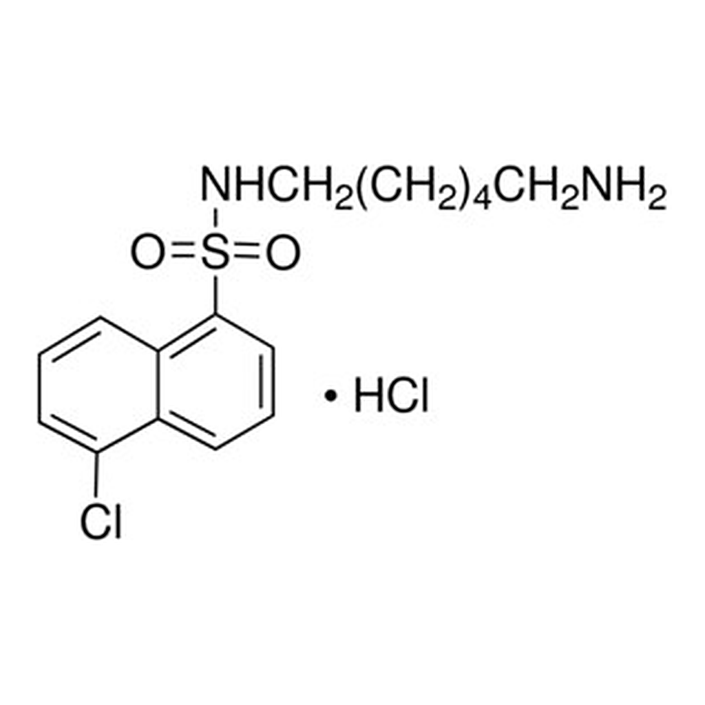 Merck N-(6-AMINOHEXYL)-5-CHLORO-1- &