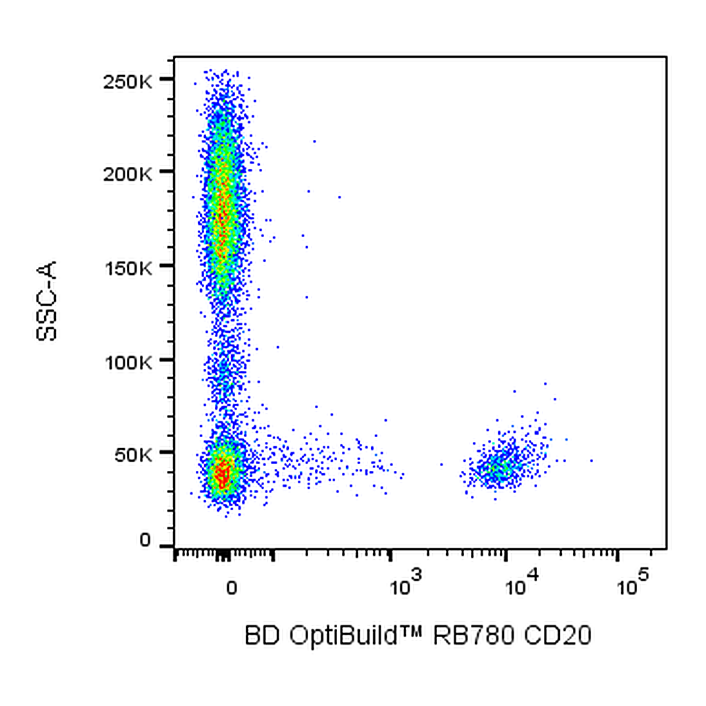 BD RB780 Mouse Anti-Human CD20