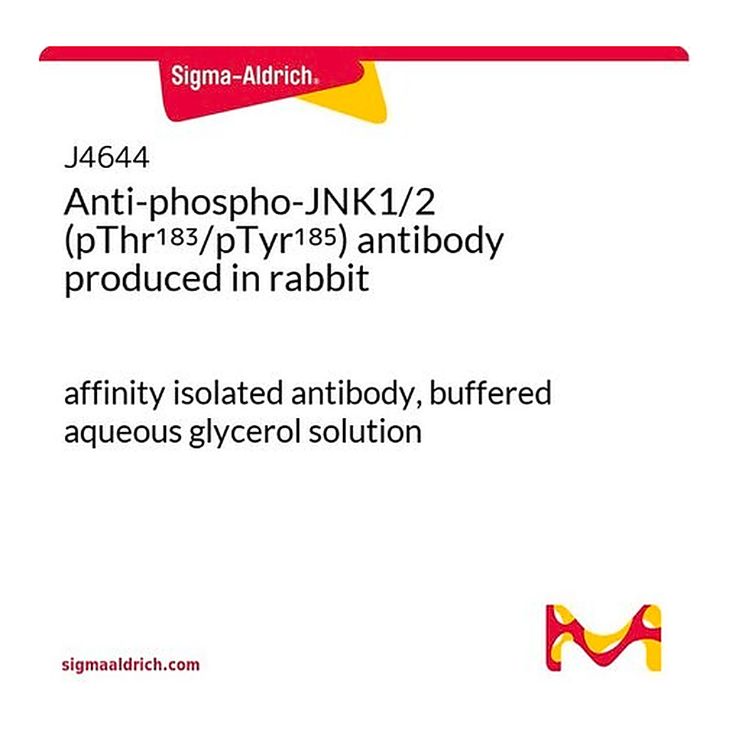Merck Anti-phospho-JNK1/2 (pThr183/pTyr185) antibody produced in rabbit