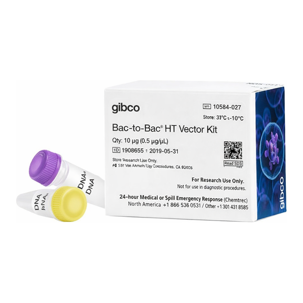 Thermo Fisher Scientific Bac-to-Bac HT Vector Kit