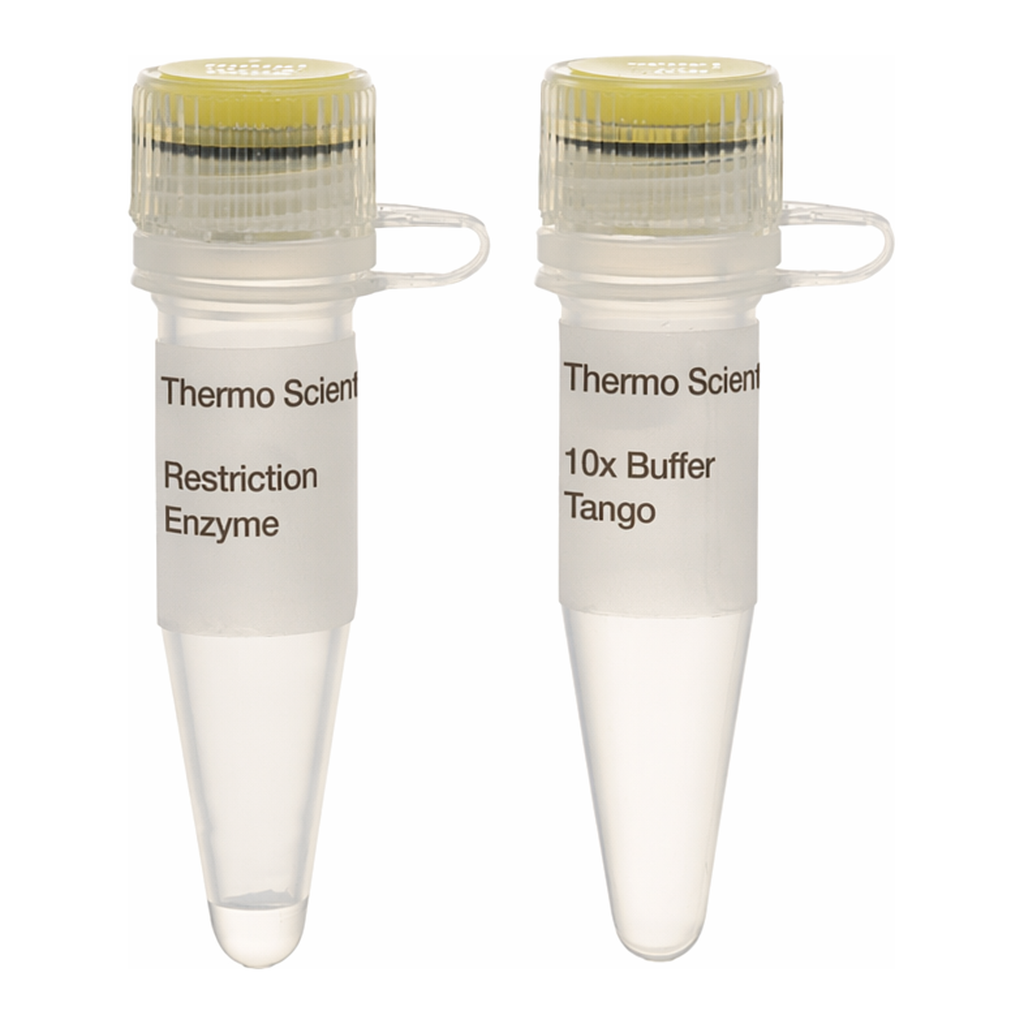 Thermo Fisher Scientific SfaAI (AsiSI) (10 U/&mu;L)