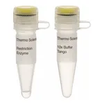 Thermo Fisher Scientific SfaAI (AsiSI) (10 U/μL)