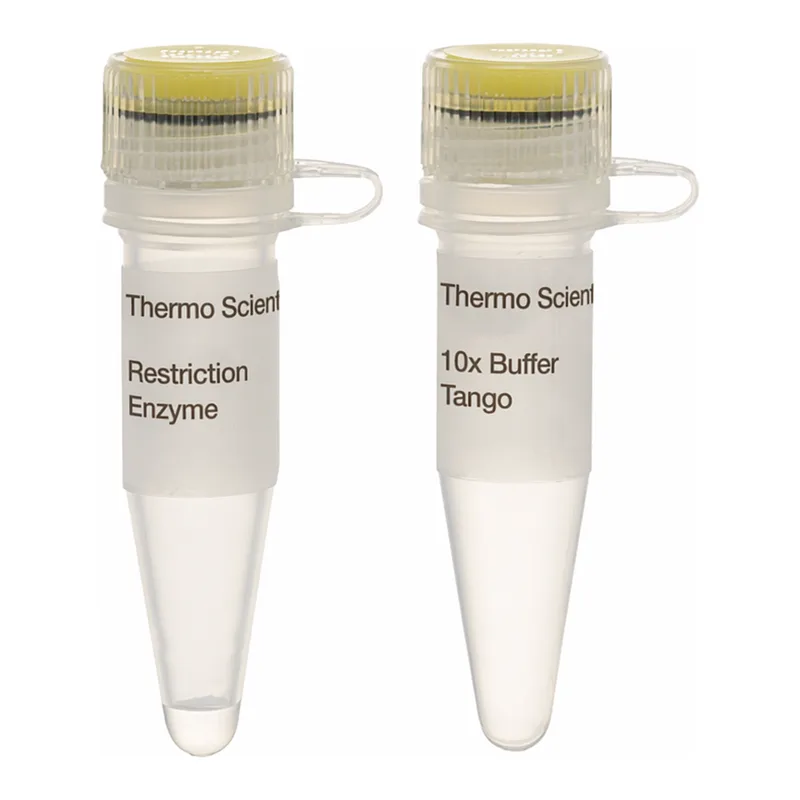 Thermo Fisher Scientific SfaAI (AsiSI) (10 U/μL)