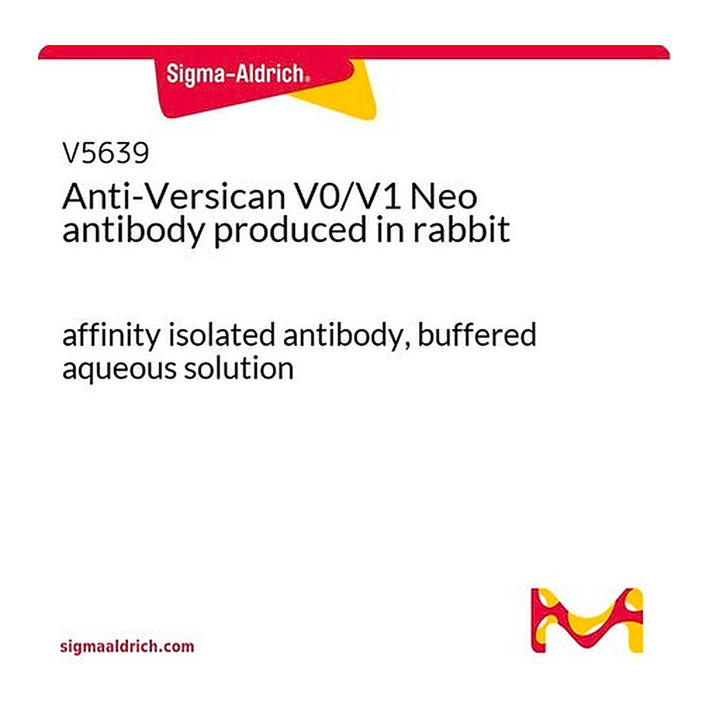 Merck Anti-Versican V0/V1 Neo antibody produced in rabbit