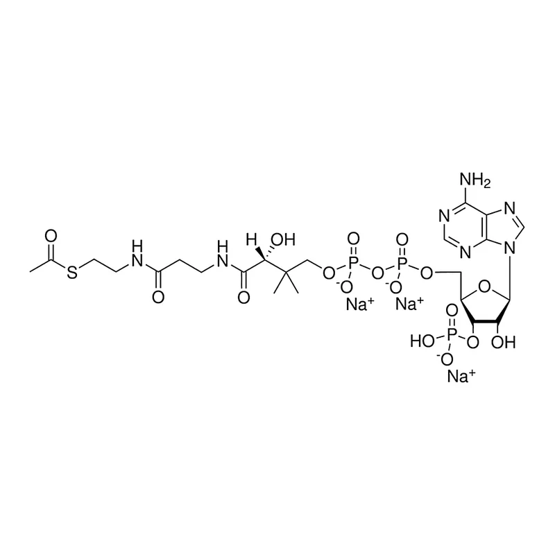 Merck 02:0 Coenzyme A