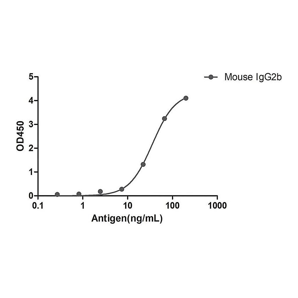 Merck Alpaca Anti-Mouse IgG2b(Fcgamma) Biotin single domain Antibody