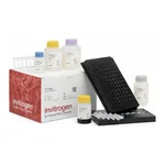 Thermo Fisher Scientific CTACK (CCL27) Mouse ProcartaPlex Simplex Kit