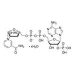 Merck B-NICOTINAMIDE ADENINE DINUCLEOTIDE