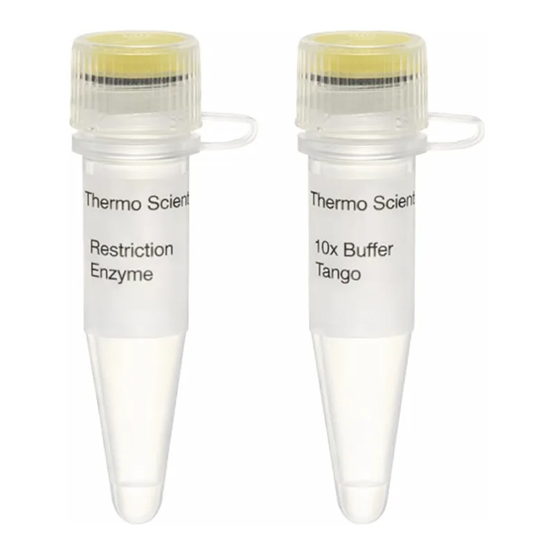 Thermo Fisher Scientific XapI (ApoI) (10 U/μL)