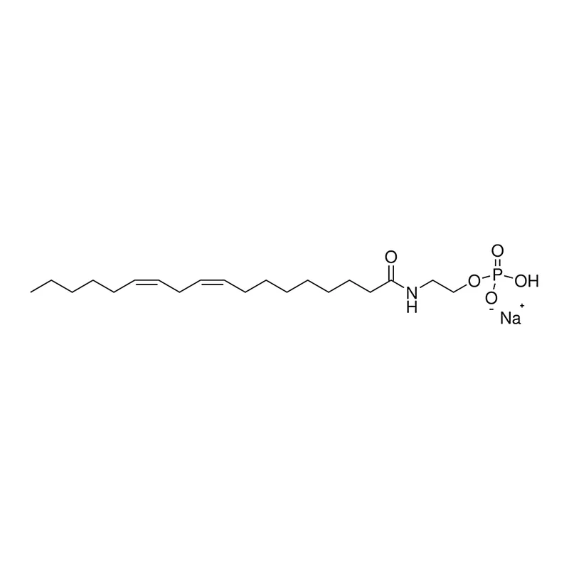 Merck C18:2 anandamide phosphate