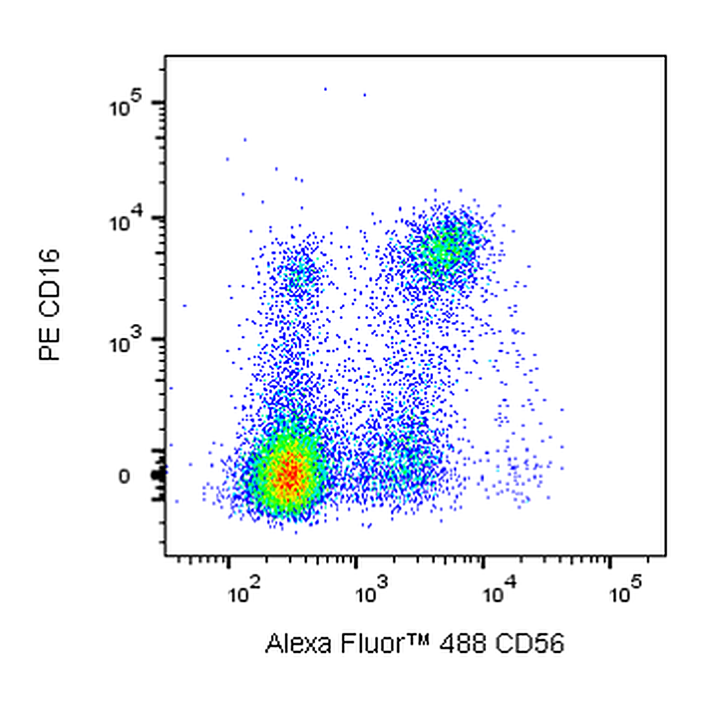 BD Alexa Fluor 488 Mouse Anti-Human CD56