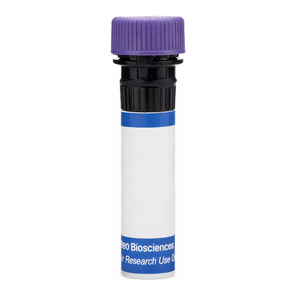 BD RB744 Rat Anti-Human CD115 (CSF-1R)