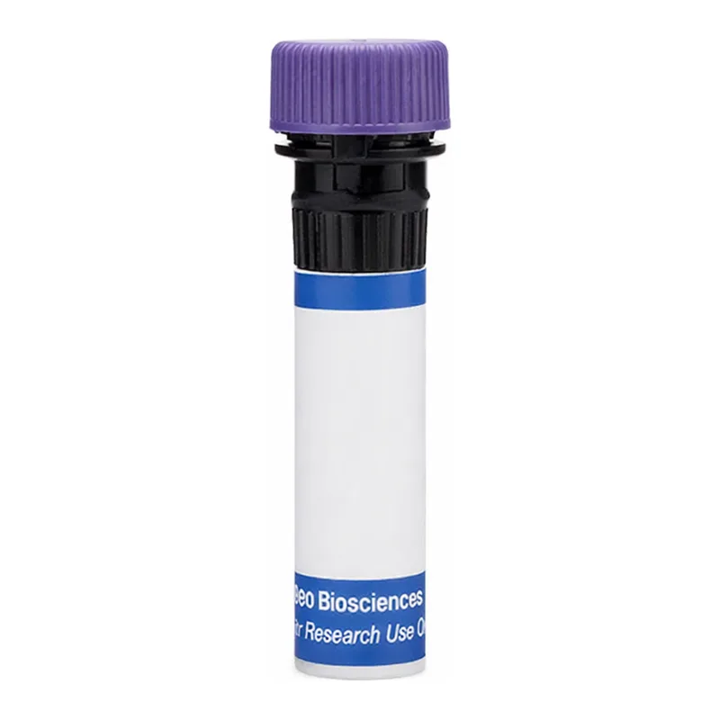 BD RB744 Rat Anti-Human CD115 (CSF-1R)