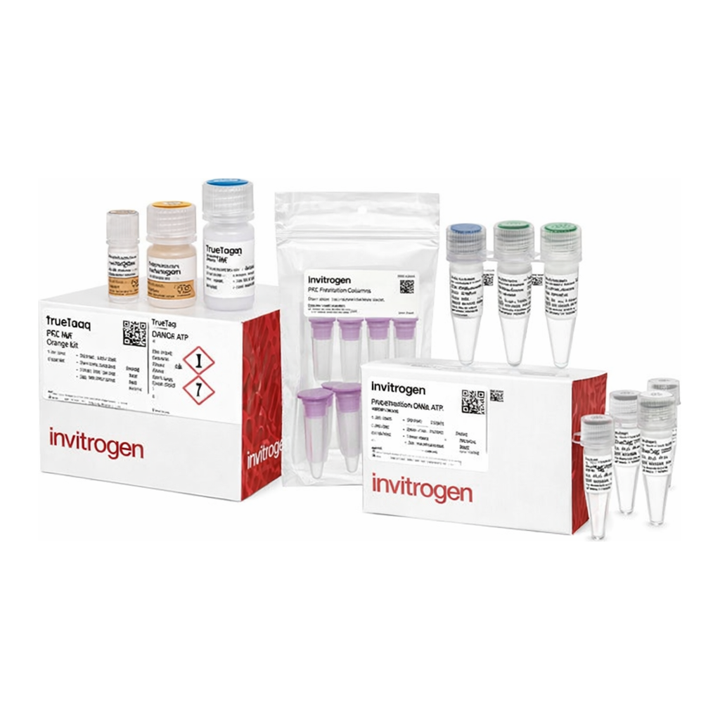 Thermo Fisher Scientific TrueTag Donor DNA Kit, YFP