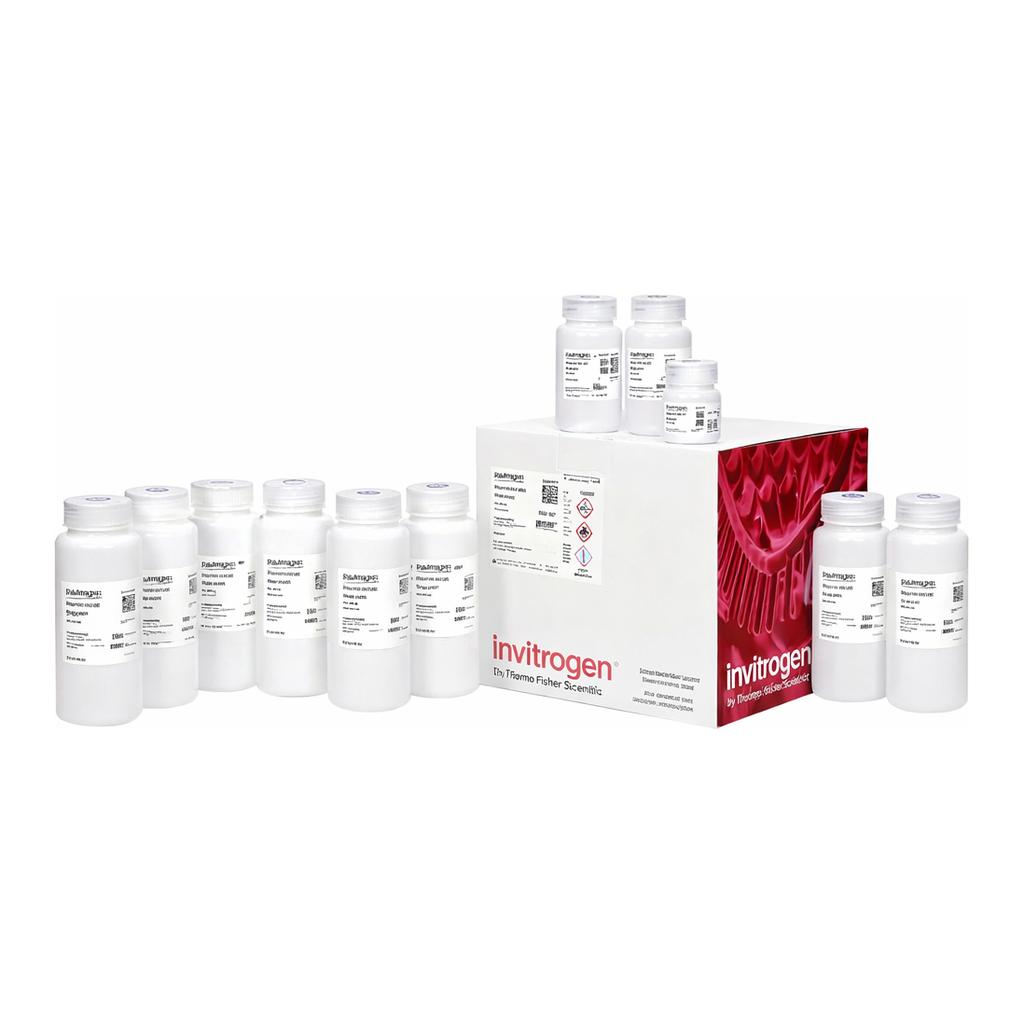 Thermo Fisher Scientific PureLink Expi Endotoxin-Free Buffer Set