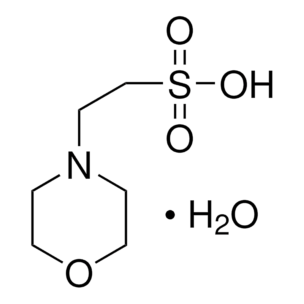Merck MES monohydrate