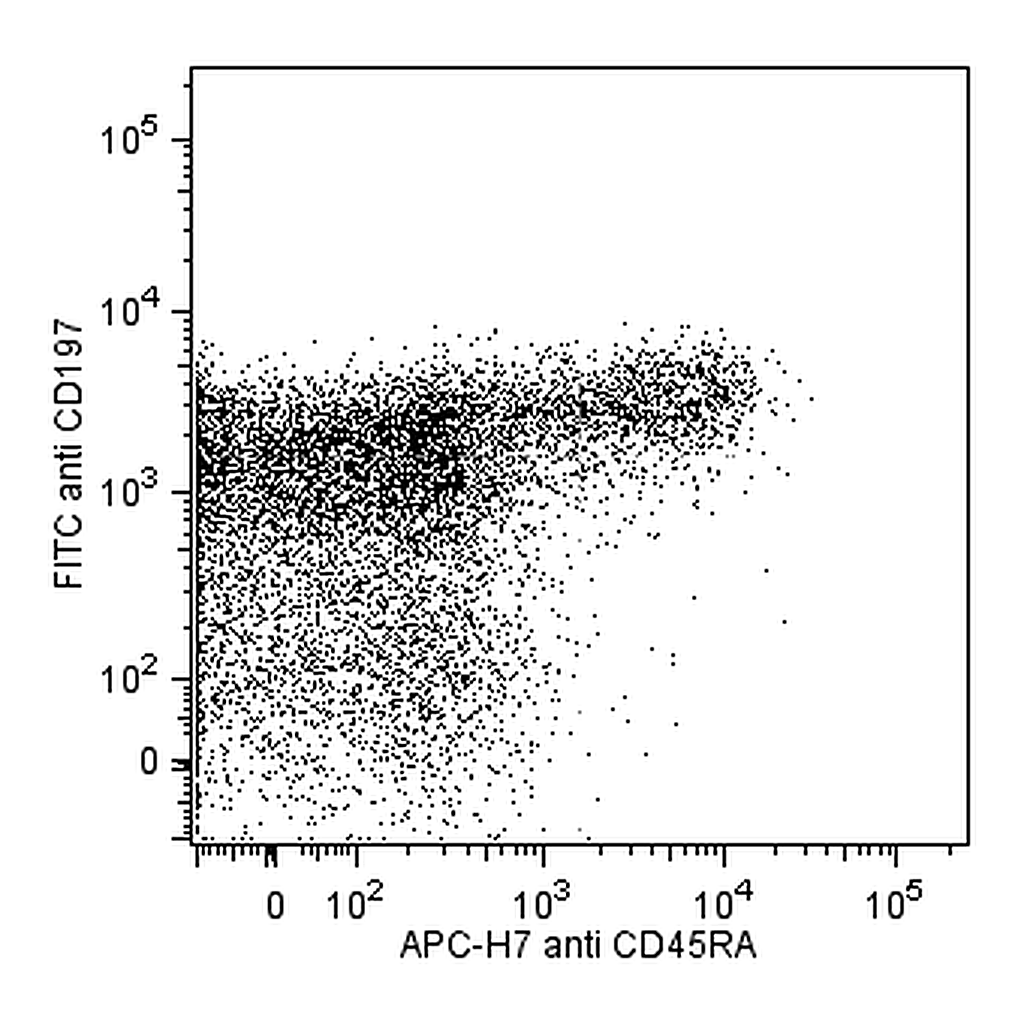 BD FITC Mouse anti-Human CD197 (CCR7)