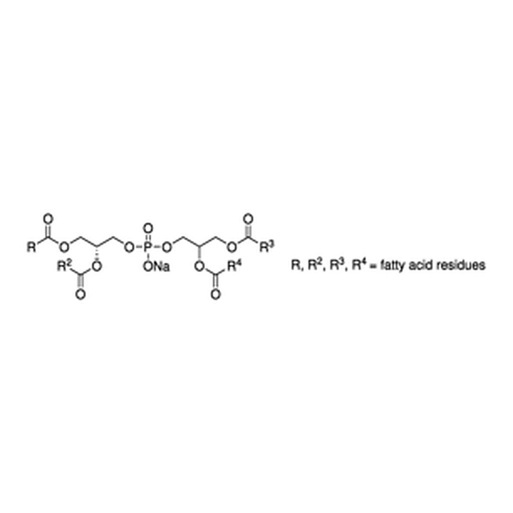 Merck 1-(3-SN-PHOSPHATIDYL)-RAC-GLYCEROL SODI&