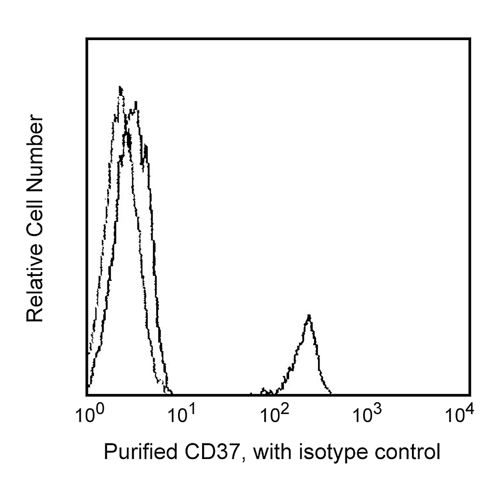 BD Purified Mouse Anti-Human CD37