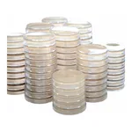 Kisanbio MBcell CN (Cetrimide) Agar Plate / MB-C2137-P50
