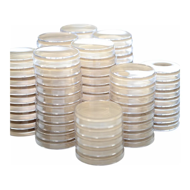 Kisanbio MBcell CN (Cetrimide) Agar Plate / MB-C2137-P50