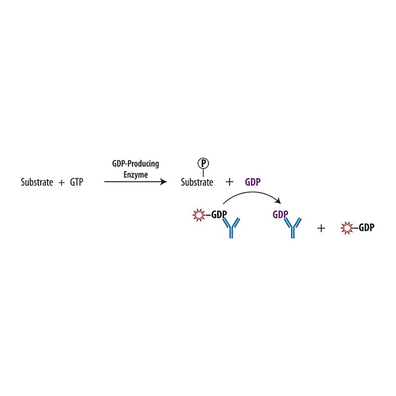 Merck Transcreener(R) GDP FP Assay