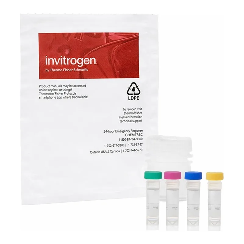 Thermo Fisher Scientific Amplex Red Catalase Assay Kit