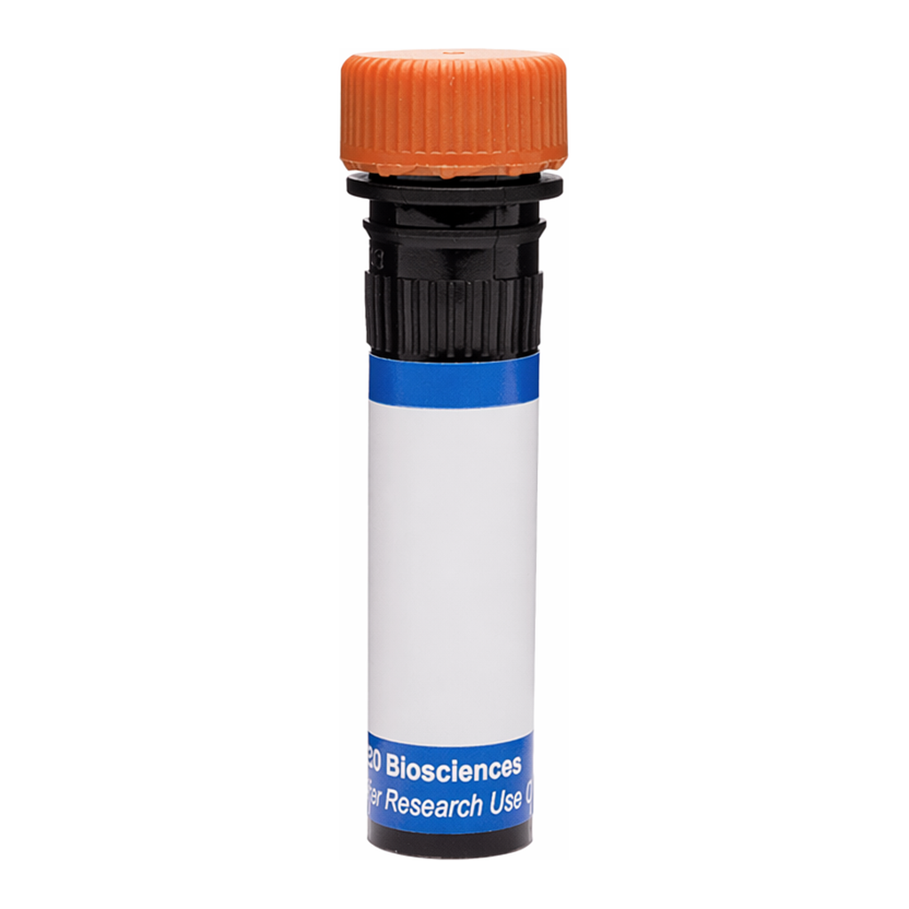 BD RB613 Mouse Anti-Human EGF Receptor