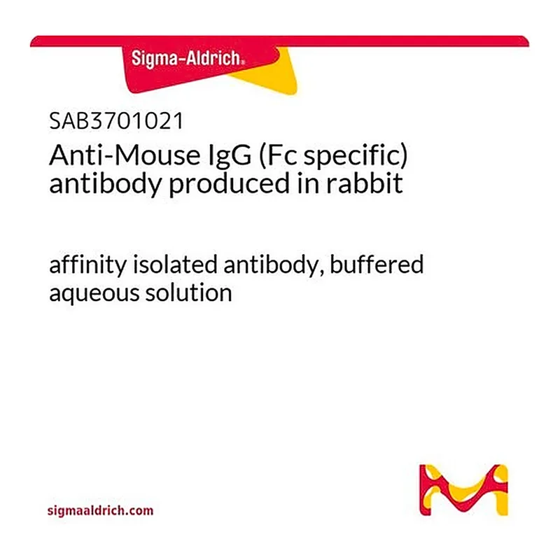 Merck Anti-Mouse IgG (Fc specific) antibody produced in rabbit