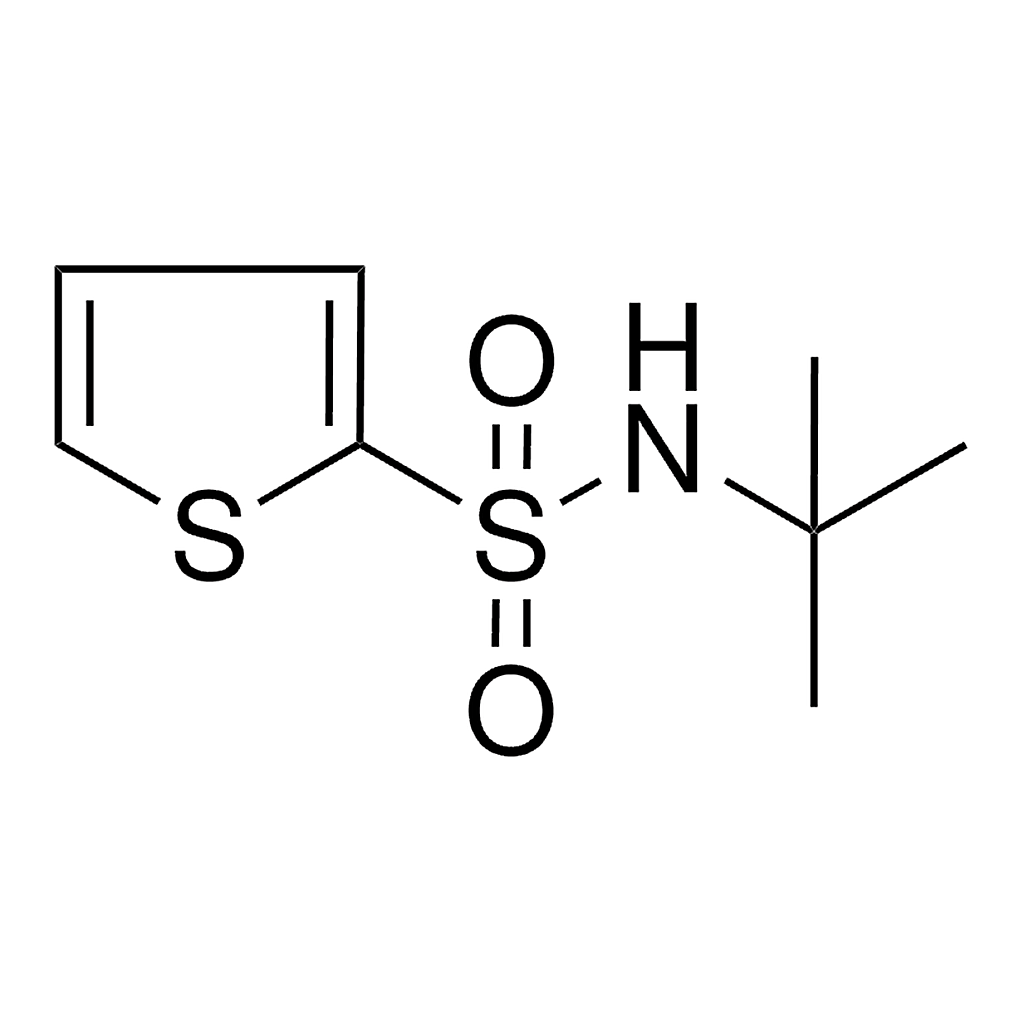 Merck N-(TERT-BUTYL)-2-THIOPHENESULFO-