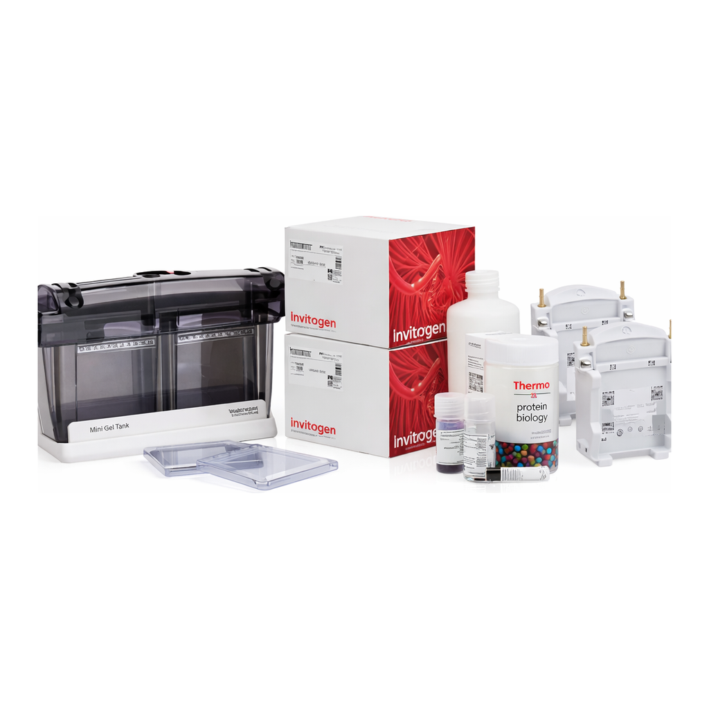 Thermo Fisher Scientific NuPAGE Bis-Tris Welcome Pack and Mini Blot Modules, 4-12%, 10-well, 1 kit
