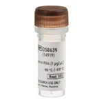 Thermo Fisher Scientific Universal Human Reference RNA
