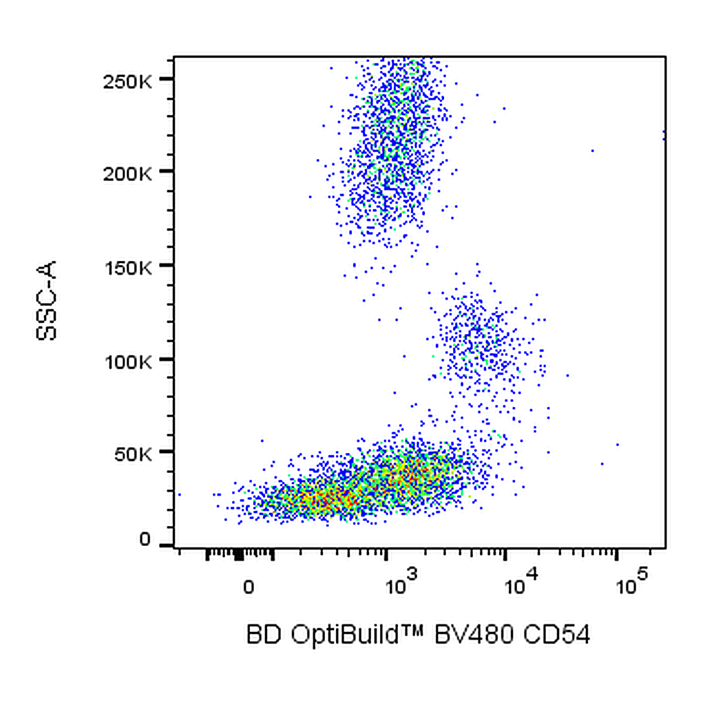 BD BV480 Mouse Anti-Human CD54 (ICAM-1)