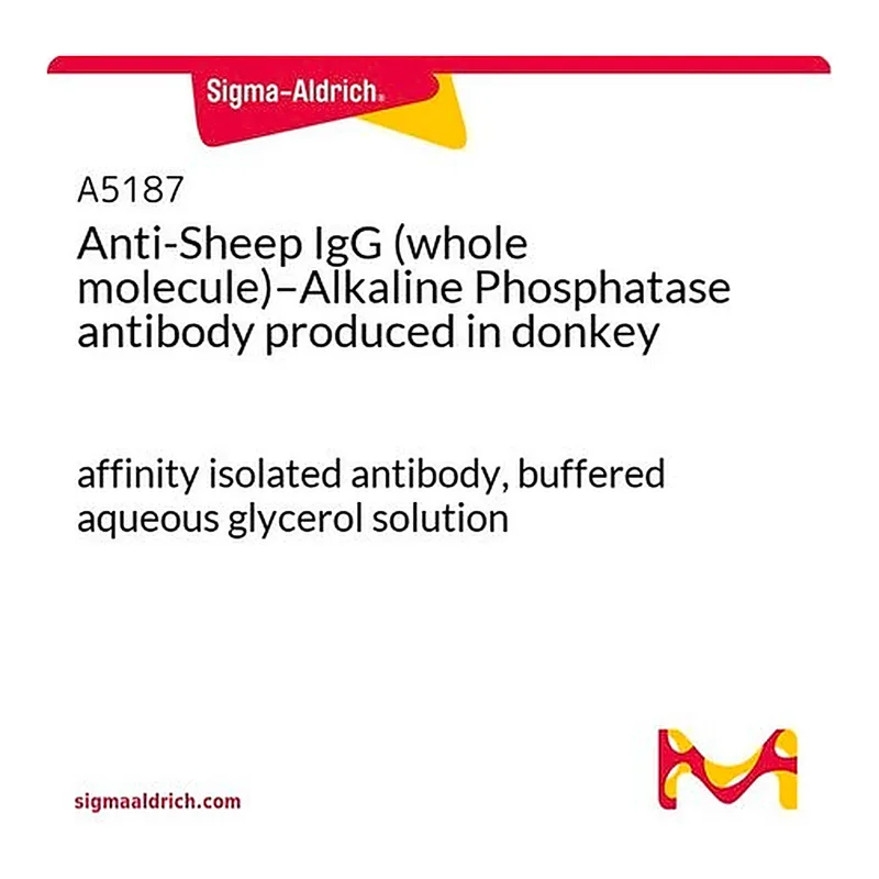 Merck Anti-Sheep IgG (whole molecule)-Alkaline Phosphatase antibody produced in donkey