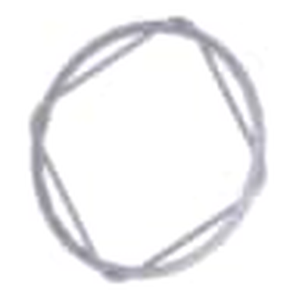 Waters O-Ring, FKM, BS039