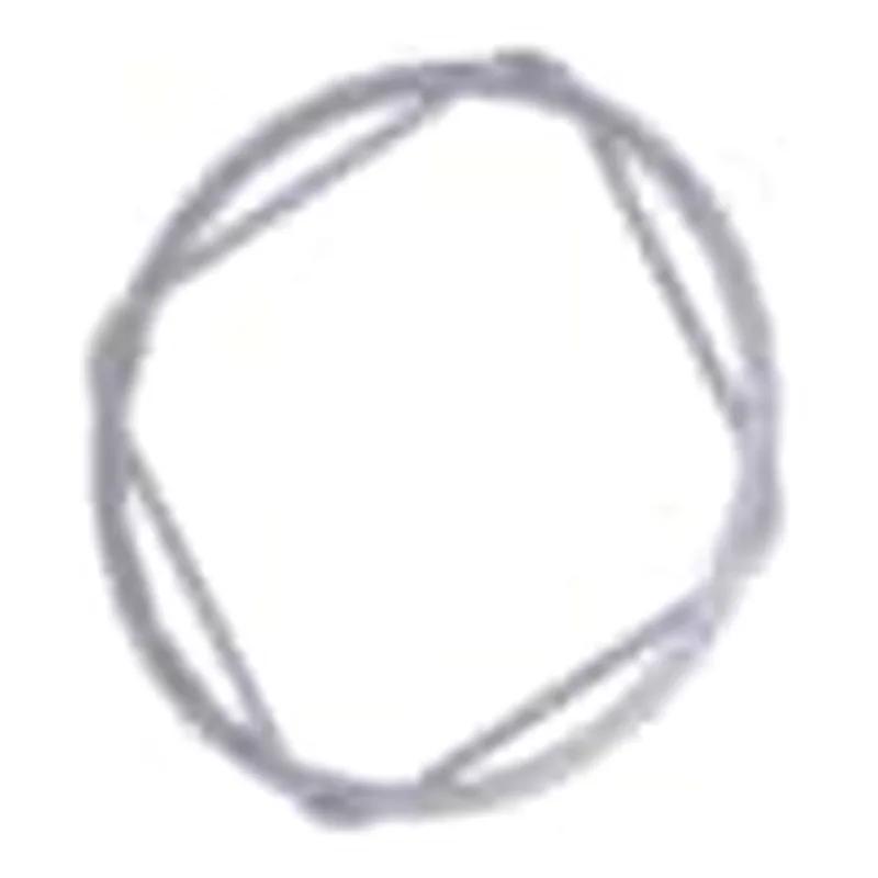 Waters O-Ring, FKM, BS039