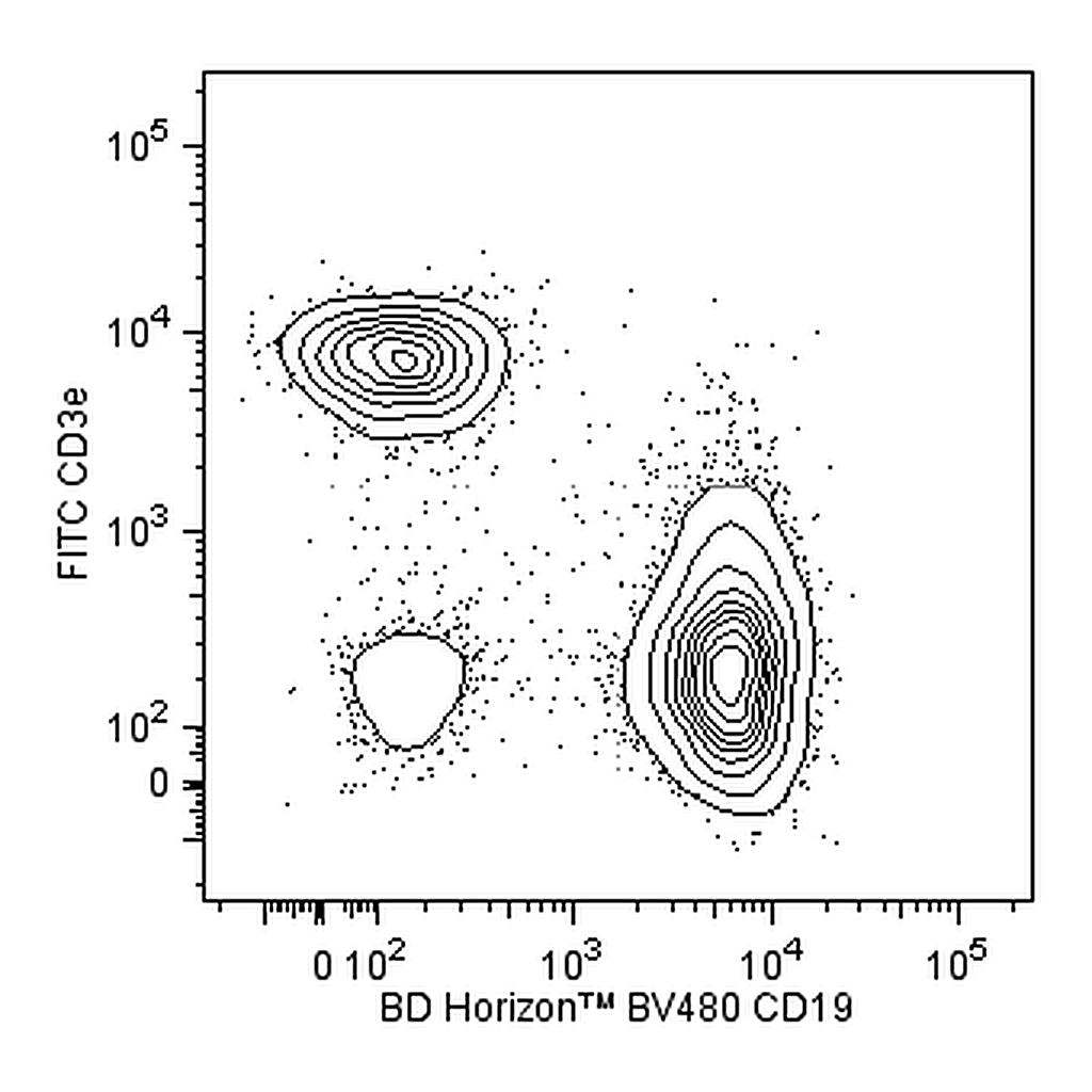 BD BV480 Rat Anti-Mouse CD19