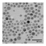 Merck SILVER, DISPERSION, NANOPARTICLES, 10 N&