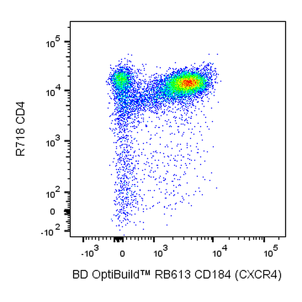 BD RB613 Rat Anti-Mouse CD184 (CXCR4)