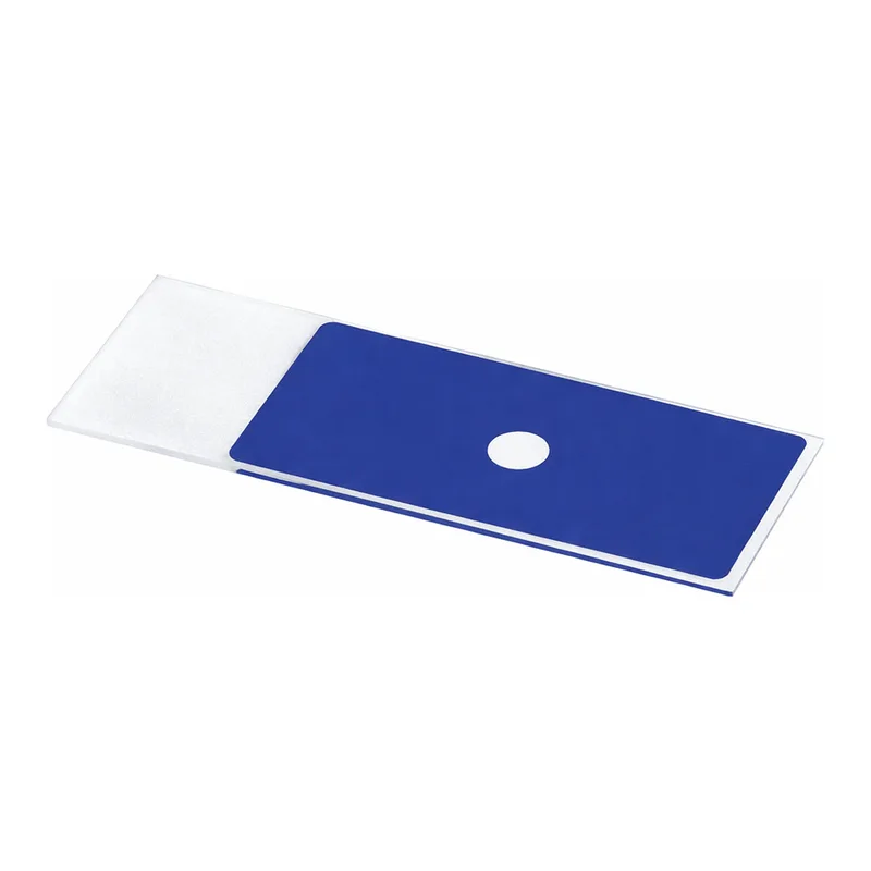 Microscope slides with reaction wells