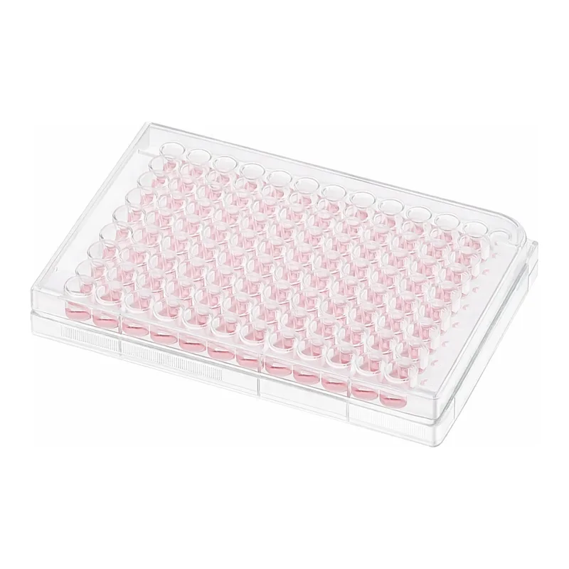 Thermo Fisher Scientific BioLite 6W Plate with Lid, Cell Culture-treated surface