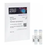Thermo Fisher Scientific MitoProbe DiIC1(5) Assay Kit - For Flow Cytometry - 100 Assays