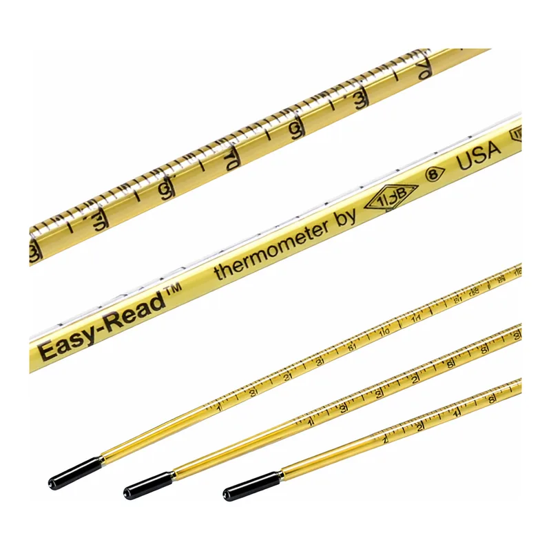 Merck Easy-Read(R) thermometer