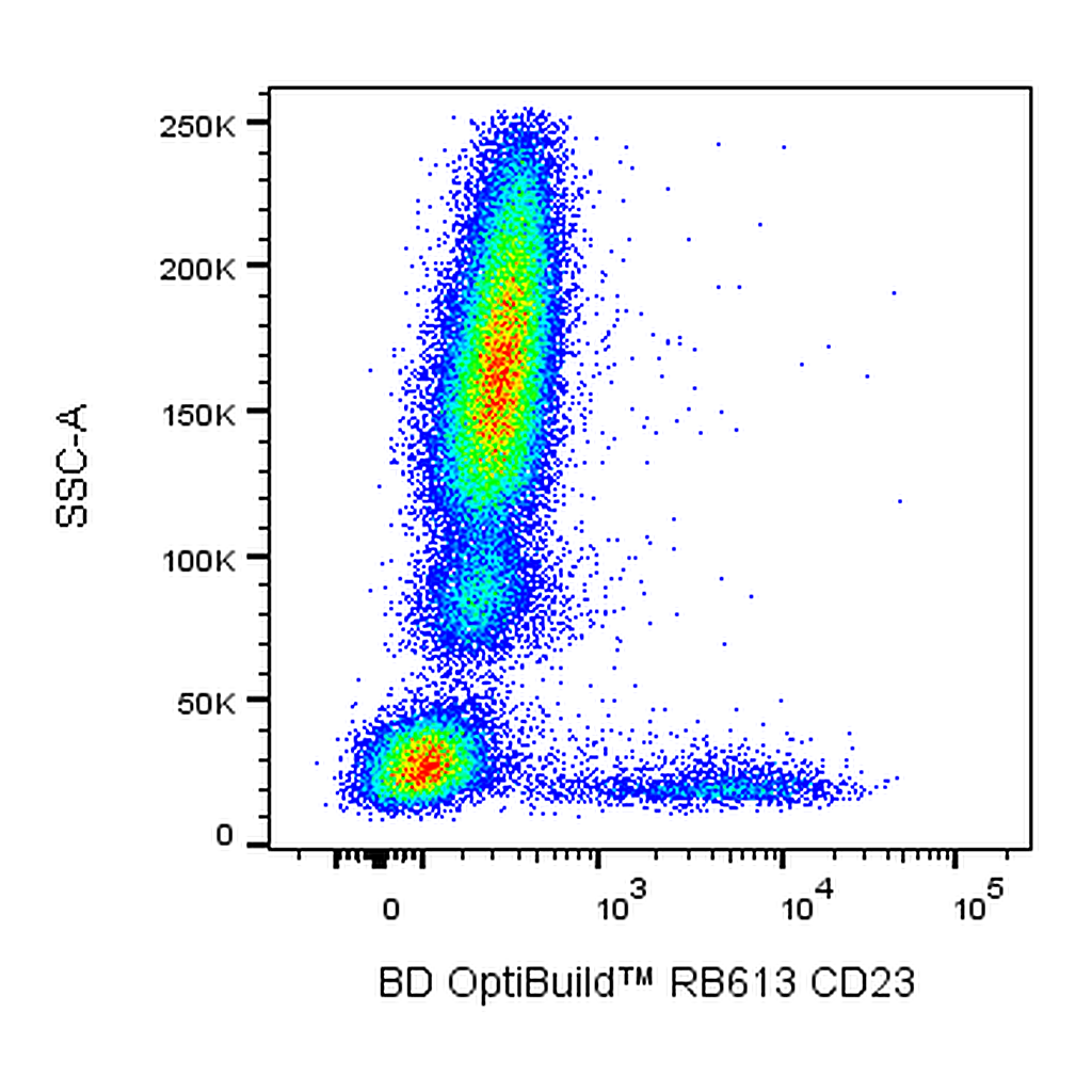 BD RB613 Mouse Anti-Human CD23